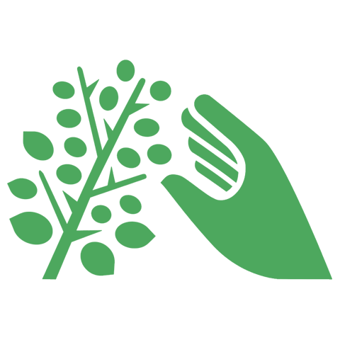 Hand-Plucked