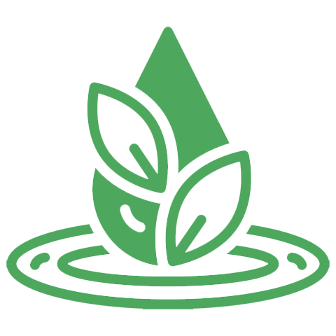 Whole Leaf